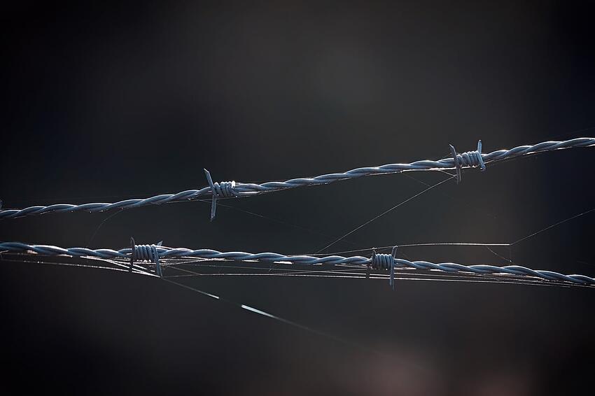 Boundary wire along the edge of a property